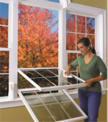 Double-hung Window