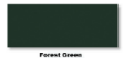 Exterior Window Color Forest Green