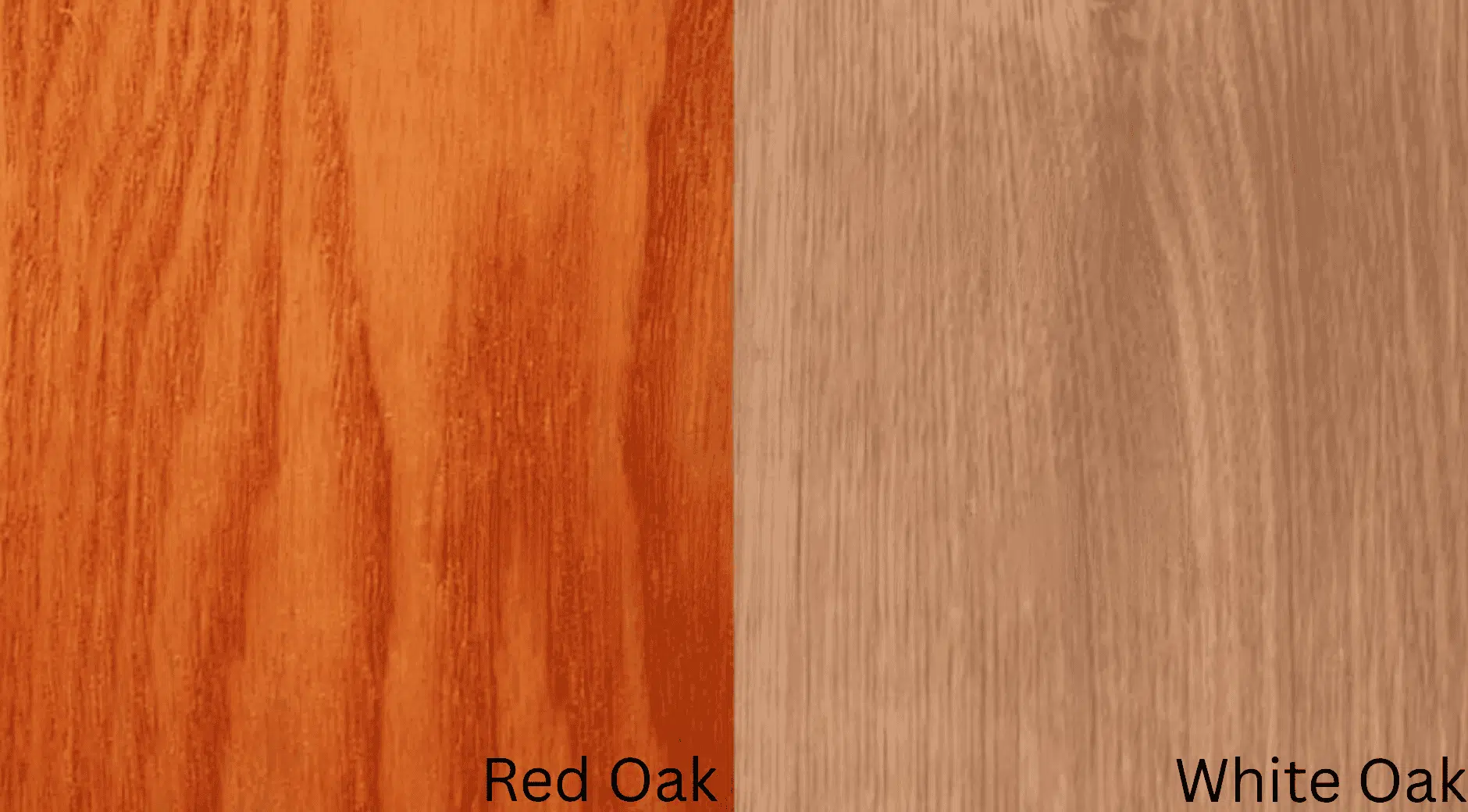 Comparing Red Oak and White Oak