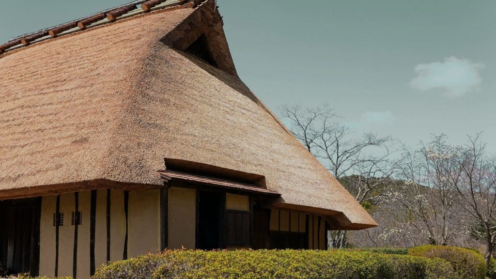 how long can a thatched roof last