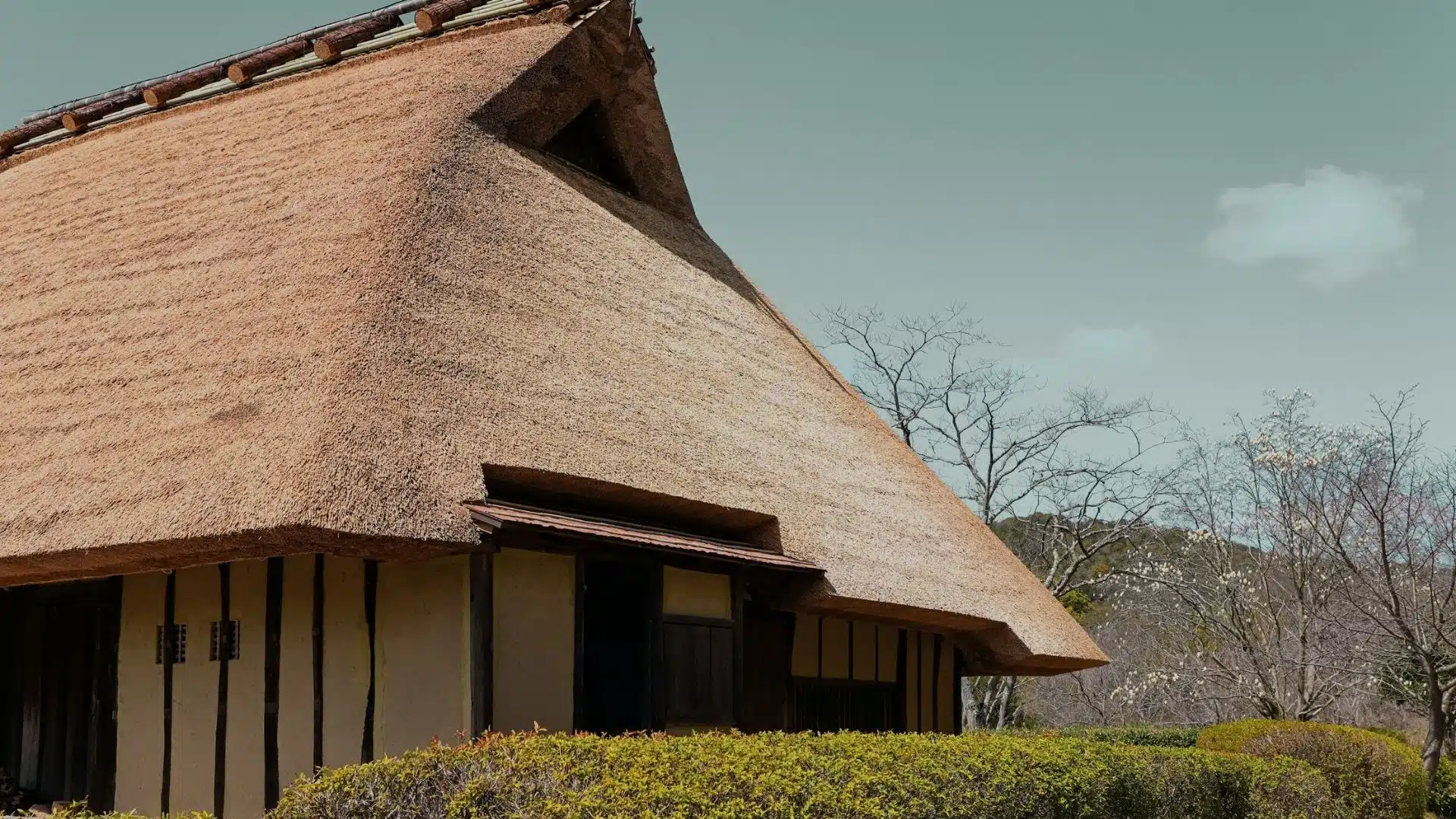 how long can a thatched roof last