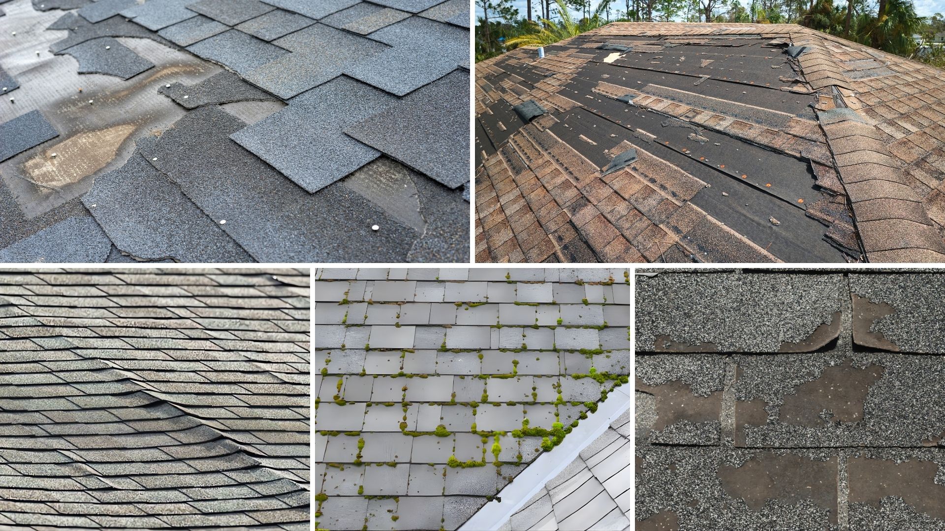 how often should a shingle roof be replaced
