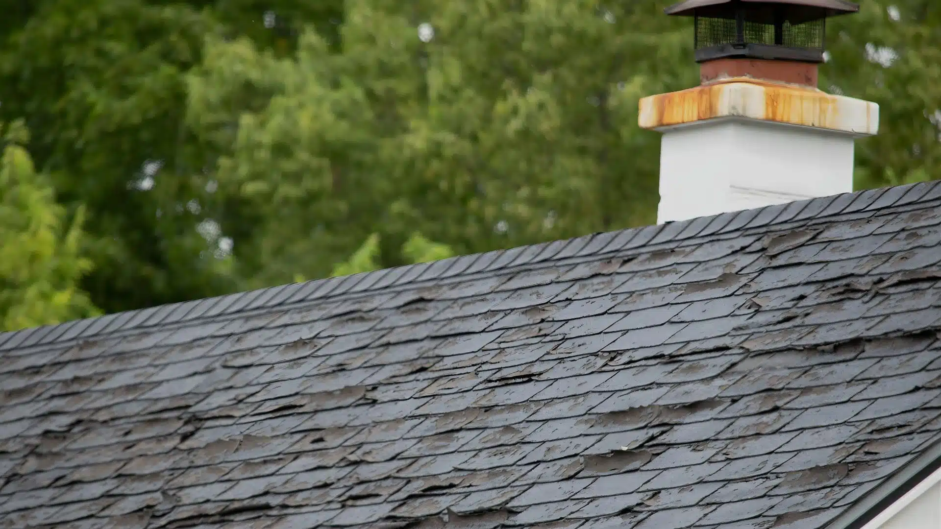 roof leak repair cost