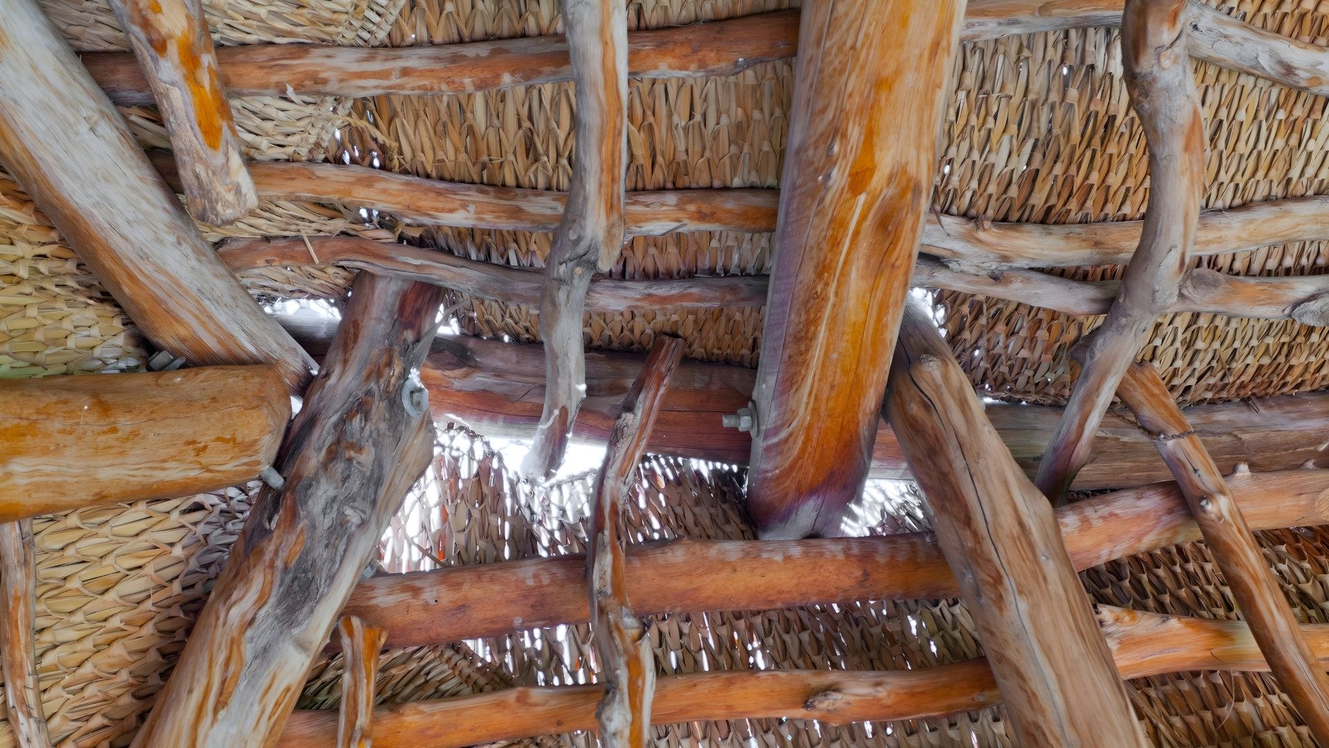 sign thatched roof need repairs