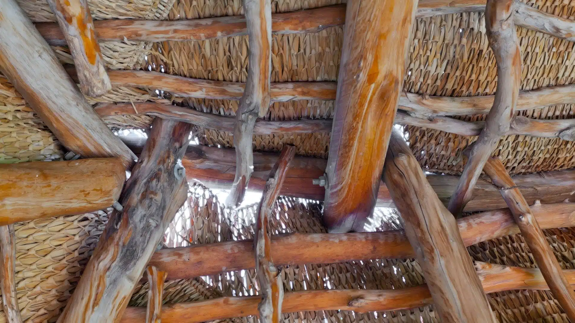 sign thatched roof need repairs