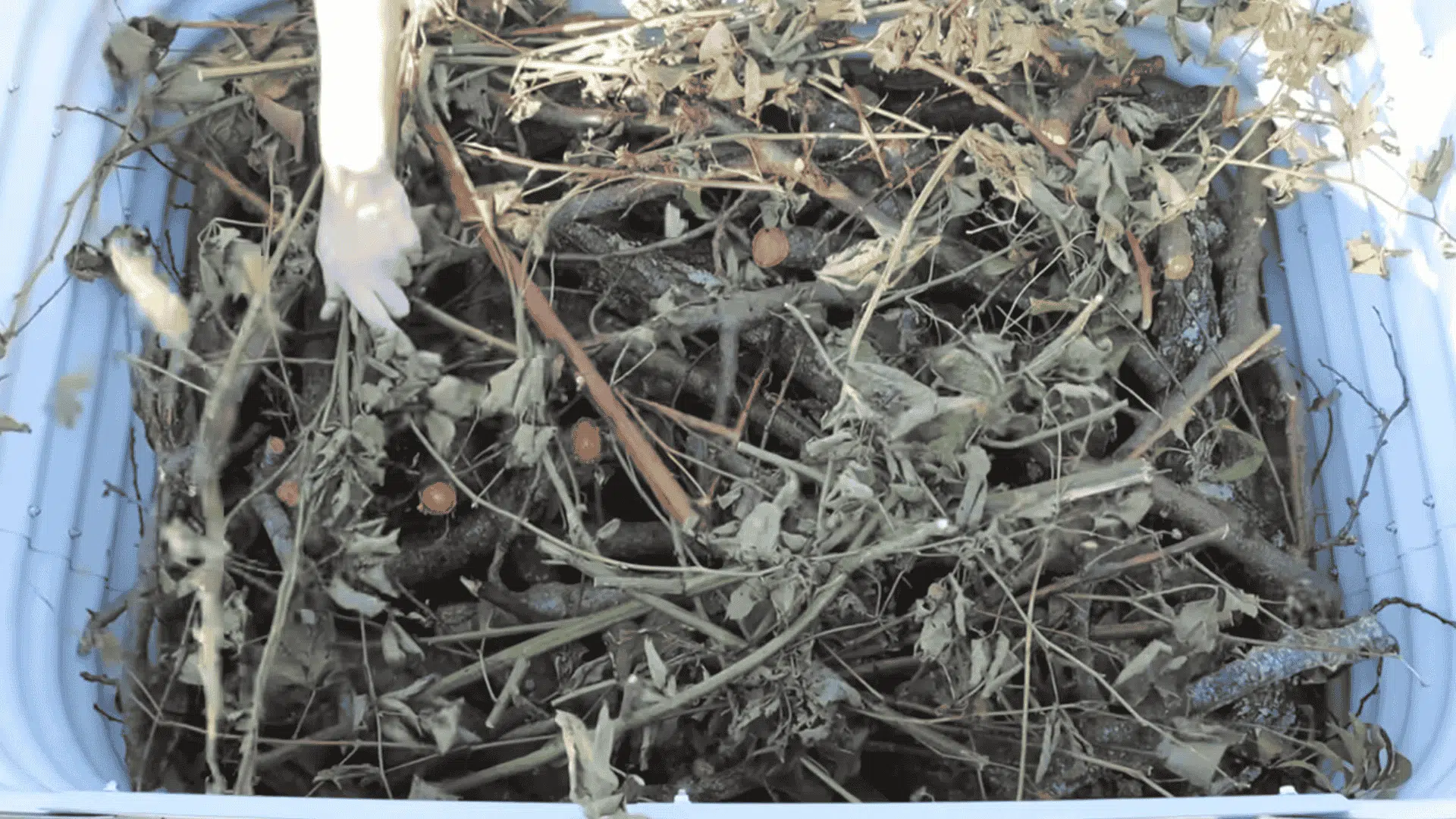 step 2 add branches and sticks