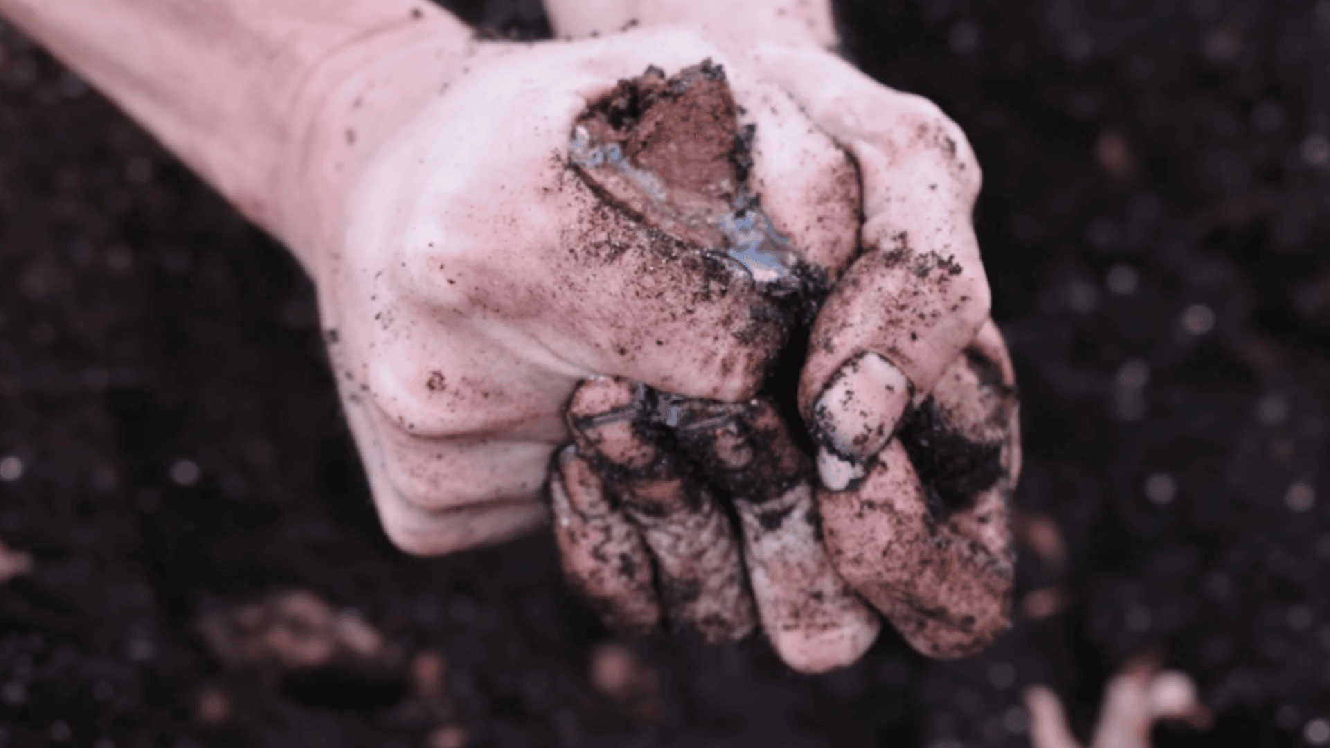 why logs work science behind the layers