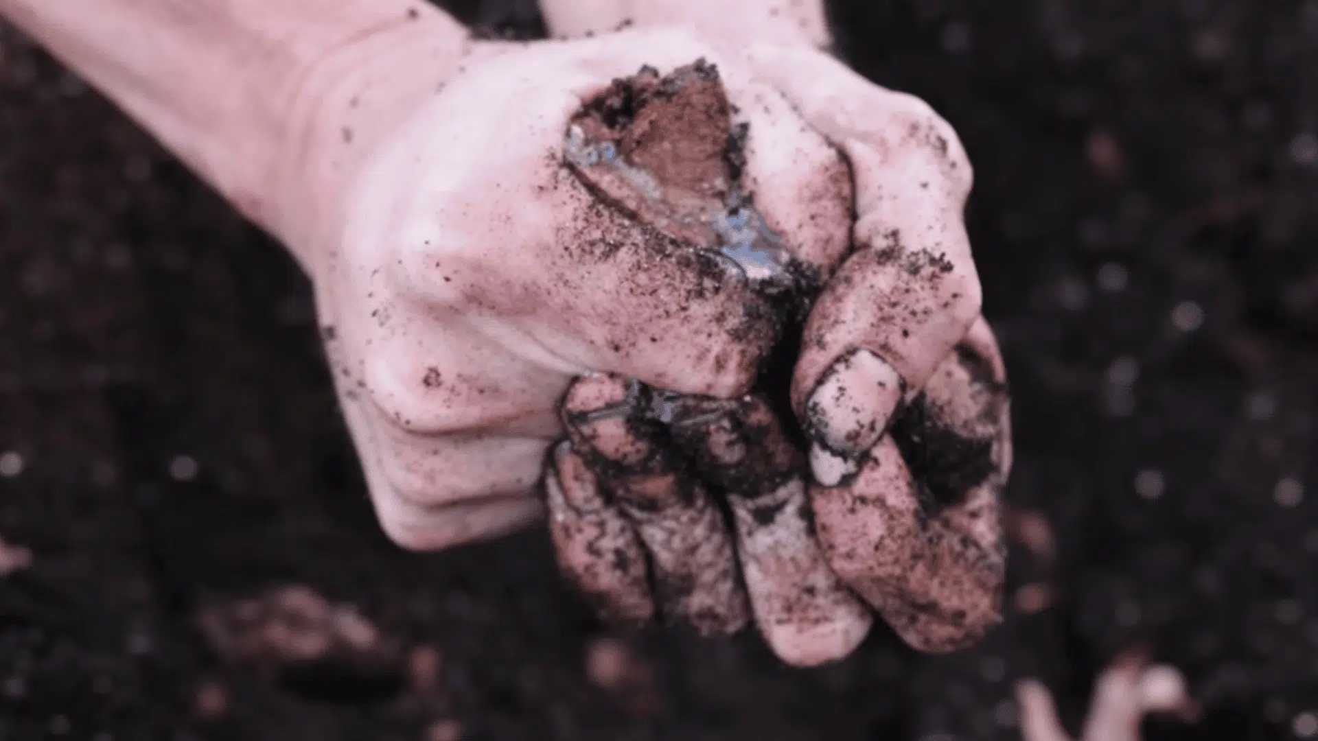 why logs work science behind the layers