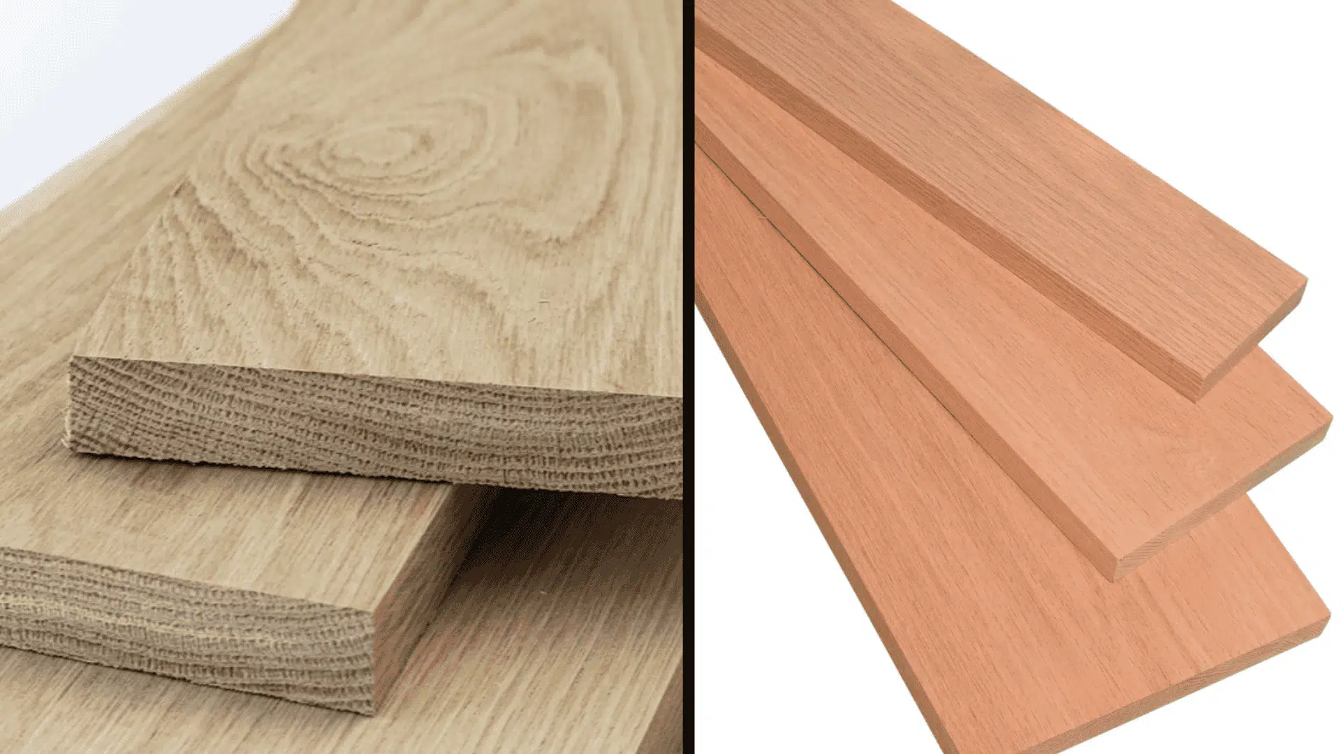 oak varieties