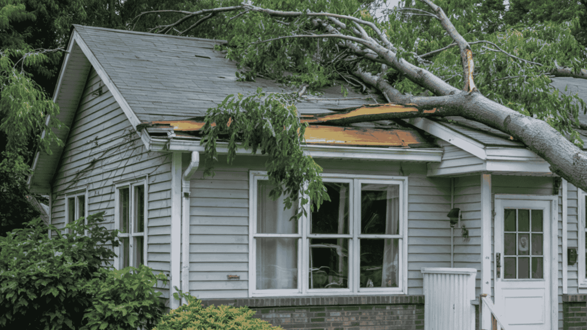 counts-roof-storm-damage-document