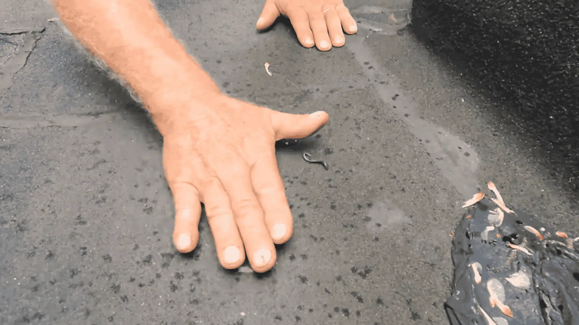 step-1-prepare-the-area