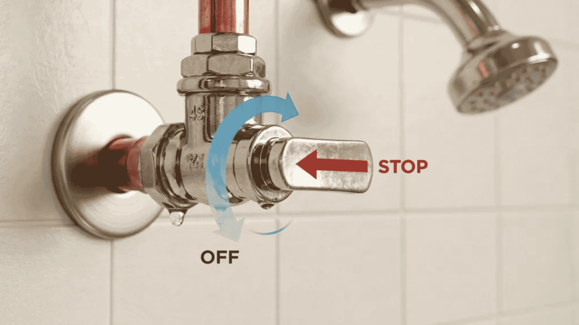 Water shut-off valve turned off before shower head removal.